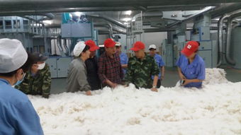 技术双翼齐驱，纺纱与能源产业迈向提质增效新纪元