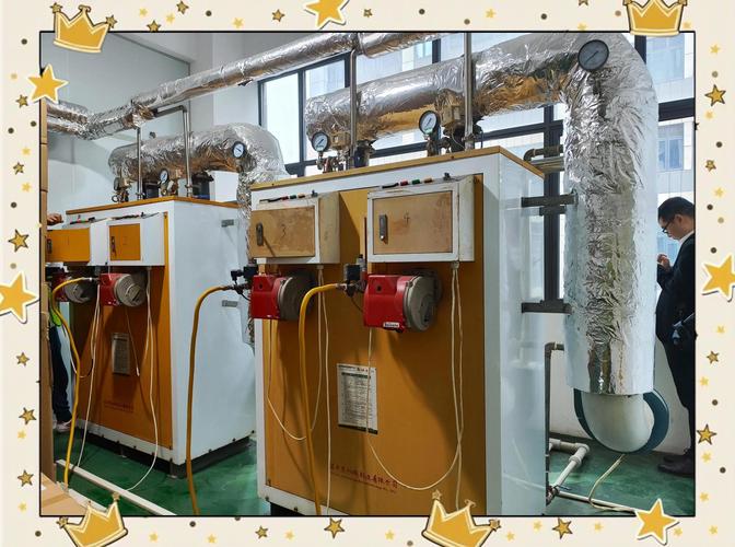 金银花露加工新神器 洁净蒸汽发生器引领洁净煤新技术产品革命