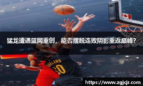 乐动LDSports综合体育